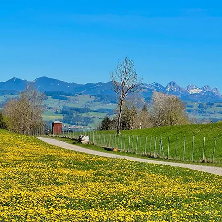 Luxlife - Panorama Bergblick, Sauna, Balkon, Luxus Pur 公寓 *